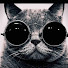 f7eY5AxaatY-channel-avatar-胖猴仔
