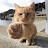 @angrycatmeow7494