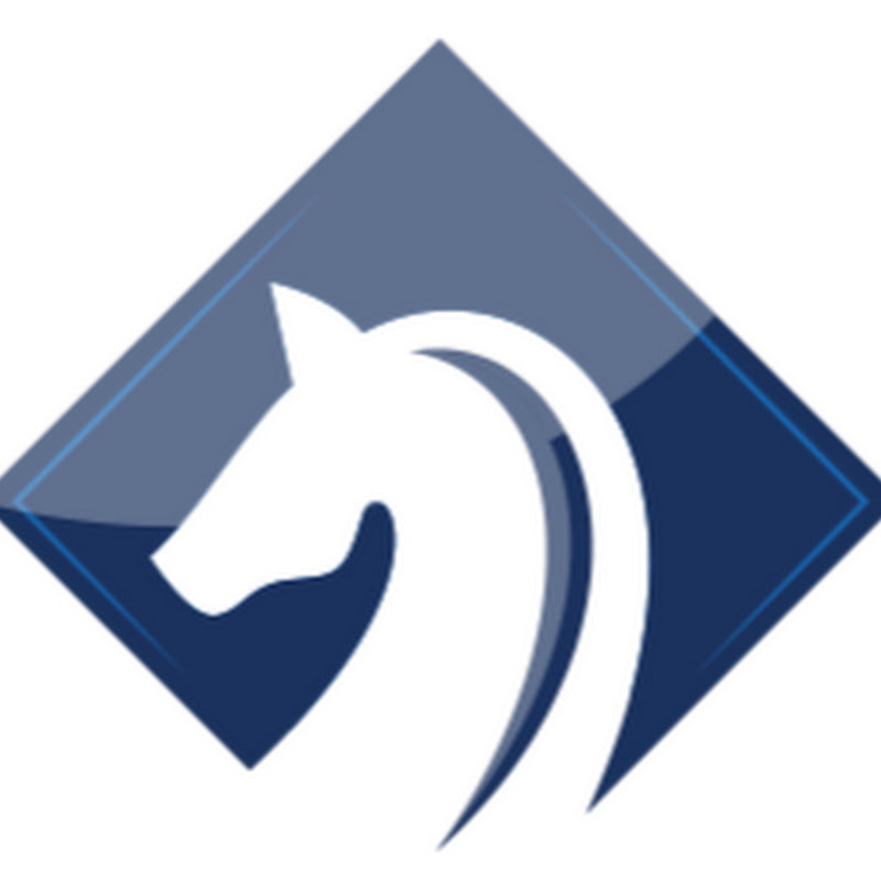 TheChessWorld.com
