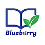 Blueberry Education logo
