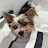 @jessiem8808's avatar