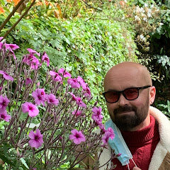 My life in Madeira Island.
