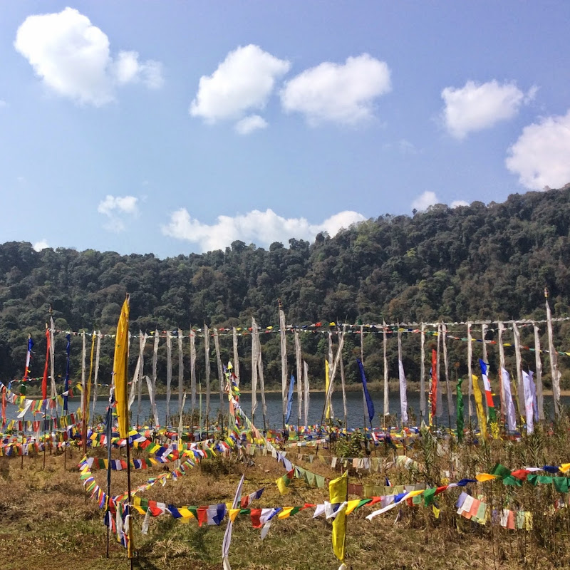 Terralaya Travels