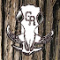 NoLimDL_e0Y-channel-avatar-gradousrifles