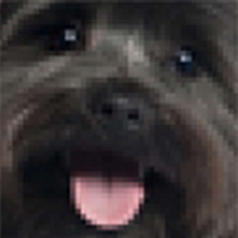 OnyxDaDogg