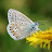 @talesfrombookend Avatar