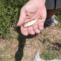 Tight Knots Fishing