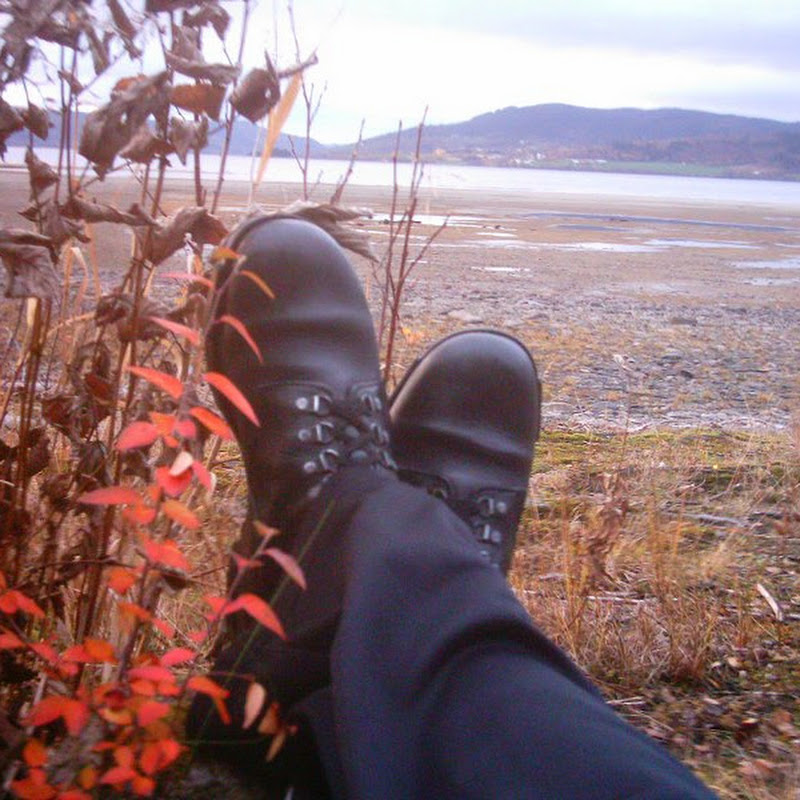 ManiacBull