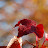 @simonoliver9950 Avatar