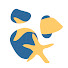 Cqn75QTKfPk-channel-avatar-Fish Reef Project