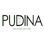 Pudina Confinement & Wellness logo