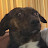 @keeperoftruth5951's avatar