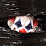 zVIaOSuqUC4-channel-avatar-frightened fred