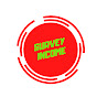 Survey Income logo