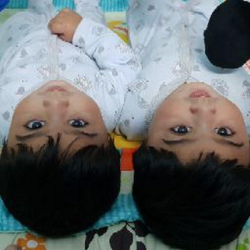 TWIN MEMONS