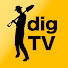 NfrBFh2gLZw-channel-avatar-digTV