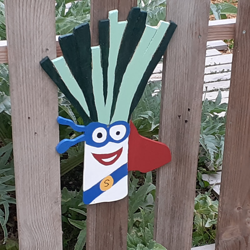 Le jardin potager de Seb