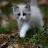 @catcat5219