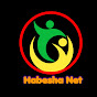 HabeshaNet. logo