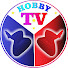 0hAhYzeQUEQ-channel-avatar-Hobby TV