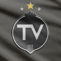 BC Partizan TV net worth