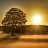 @mike-snapitnc-clegg6550