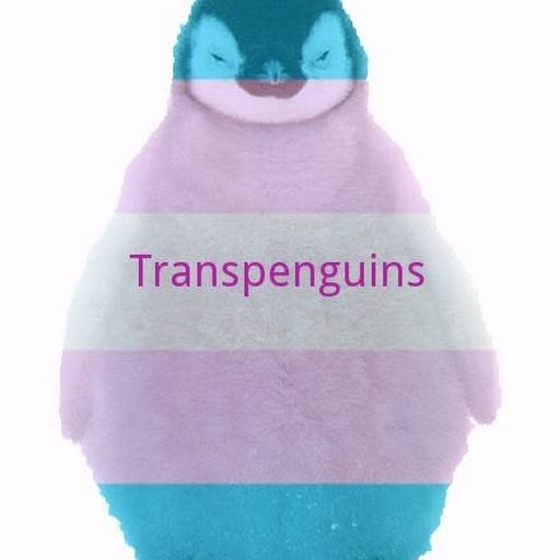 transpenguins