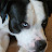 @luda1983luda83's avatar