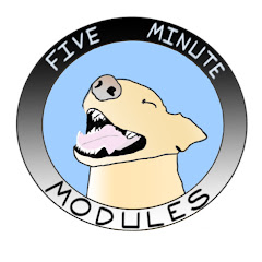 5 Minute Modules
