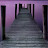 @abdulrahmanmorshak7203