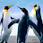 @use-hvchnk