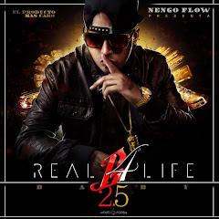 OfficialNengoFlow