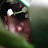 @ethanrowlandmusic's avatar
