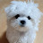 @뭉치영상툰