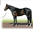 JYRXxbCNJCo-channel-avatar-Sirka Bloodstock