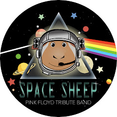 Space Sheep - Pink Floyd Tribute Band