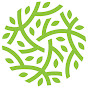 Natural Solutions logo