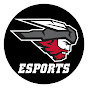 Mountaineer Esports logo