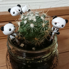 さぼてんぱんだ（さぼてんぱんだ）