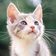 エンタメ面白裏話