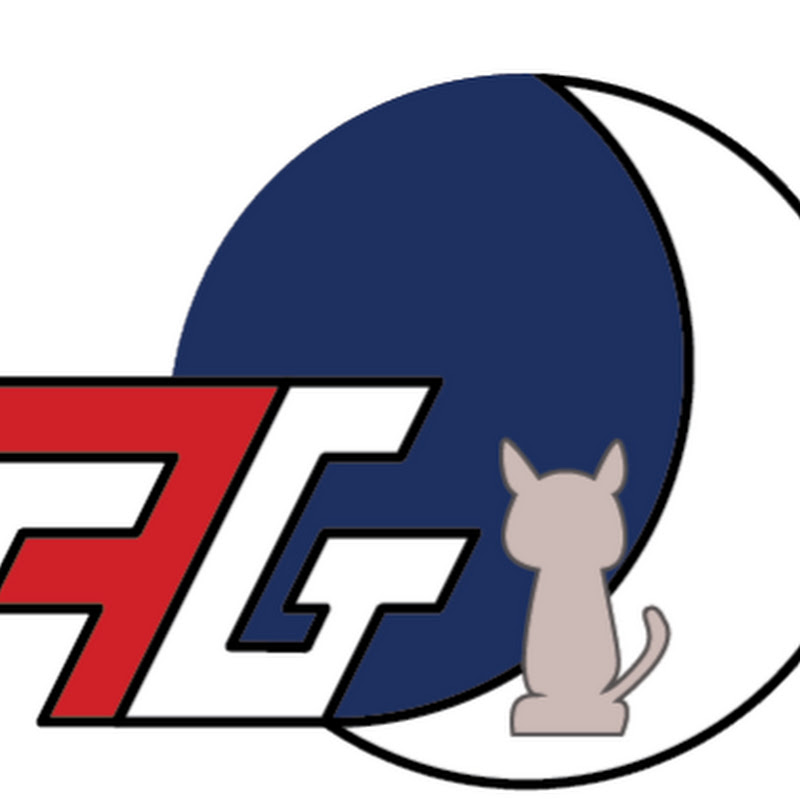 FlyinGato icon