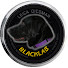 H2qCs8uIPaI-channel-avatar-BlackLabProductions