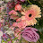 @amyp.3791 Avatar