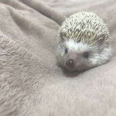 15ハリーだべさ!
