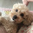 @뭐야이건요