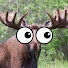 XTWjLQRWKWo-channel-avatar-Faded Moose