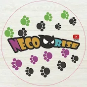 NECO RISE☆ネコライズ☆