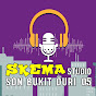 SKEMA Studio logo