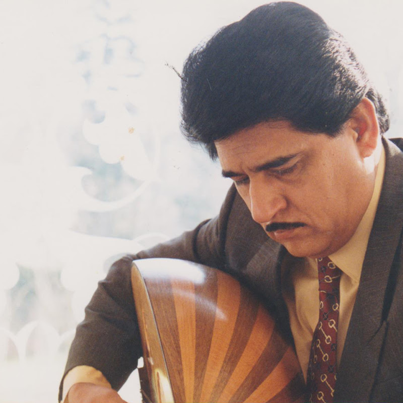 Hamid Mansour | حميد منصور