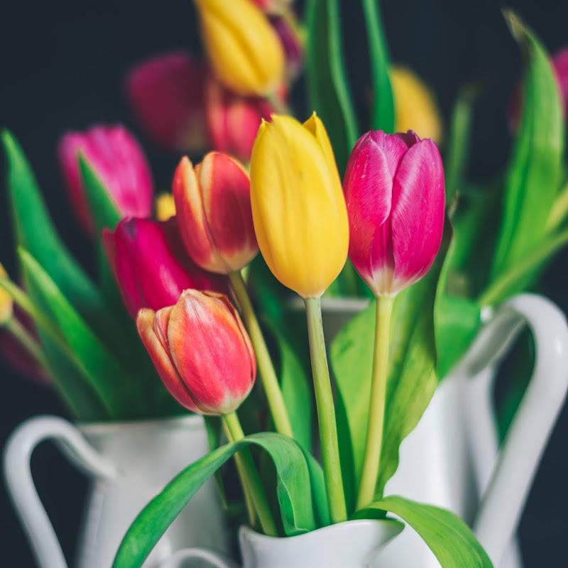 May Flower Foods